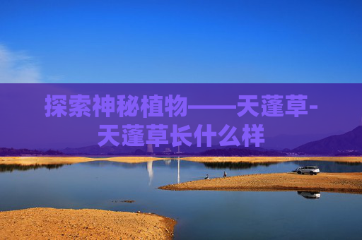 探索神秘植物——天蓬草-天蓬草长什么样