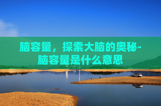 脑容量，探索大脑的奥秘-脑容量是什么意思