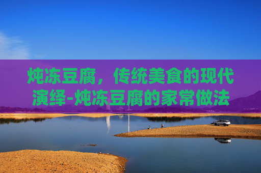 炖冻豆腐，传统美食的现代演绎-炖冻豆腐的家常做法