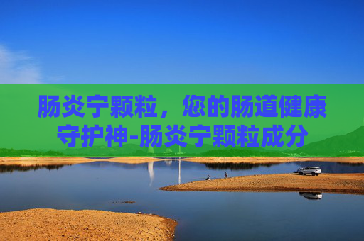 肠炎宁颗粒，您的肠道健康守护神-肠炎宁颗粒成分