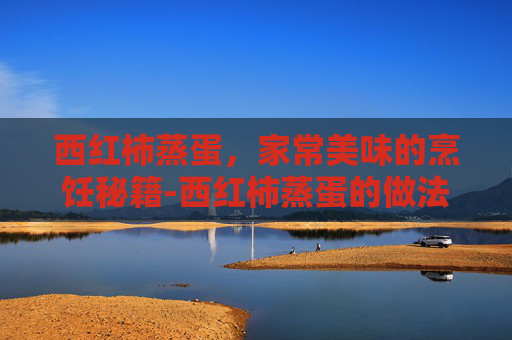 西红柿蒸蛋，家常美味的烹饪秘籍-西红柿蒸蛋的做法