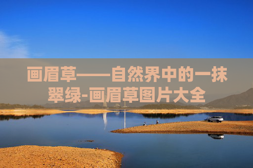 画眉草——自然界中的一抹翠绿-画眉草图片大全
