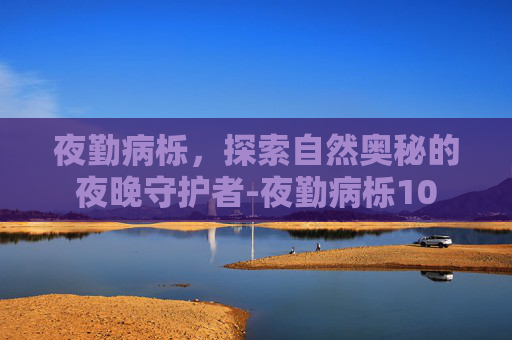 夜勤病栎，探索自然奥秘的夜晚守护者-夜勤病栎10