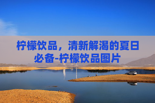 柠檬饮品，清新解渴的夏日必备-柠檬饮品图片