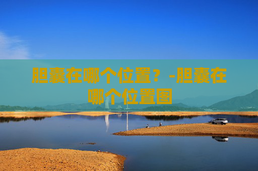胆囊在哪个位置？-胆囊在哪个位置图