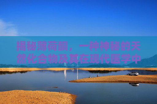 揭秘薄荷酮，一种神秘的天然化合物及其在现代医学中的应用-薄荷酮的作用