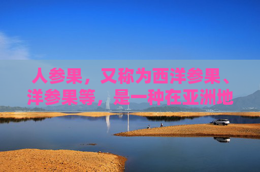 人参果，又称为西洋参果、洋参果等，是一种在亚洲地区广泛种植的果树。它不仅果实美味可口，而且具有多种功效与作用。本文将为您介绍人参果的功效与作用，帮助您更好地了解这种神奇的水果。-人参果的功效与作用及营养价值
