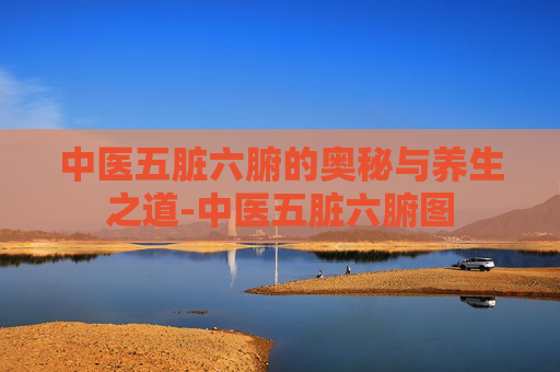 中医五脏六腑的奥秘与养生之道-中医五脏六腑图