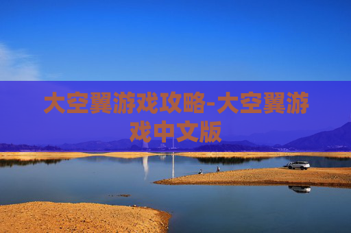 大空翼游戏攻略-大空翼游戏中文版