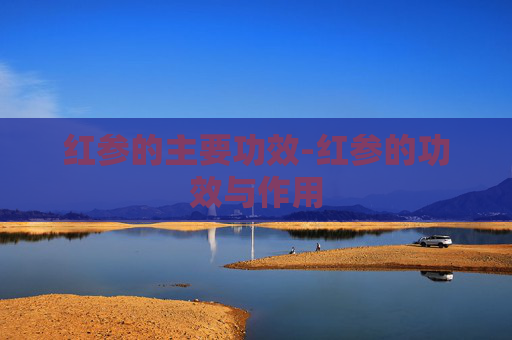 红参的主要功效-红参的功效与作用