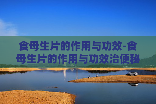 食母生片的作用与功效-食母生片的作用与功效治便秘