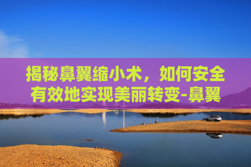 揭秘鼻翼缩小术，如何安全有效地实现美丽转变-鼻翼缩小方法图片