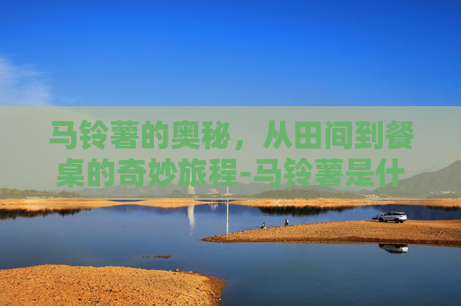马铃薯的奥秘，从田间到餐桌的奇妙旅程-马铃薯是什么科植物