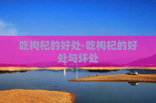 吃枸杞的好处-吃枸杞的好处与坏处