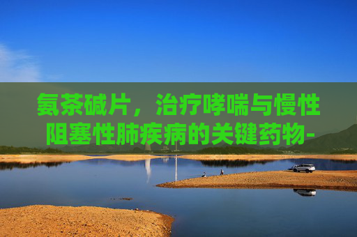 氨茶碱片，治疗哮喘与慢性阻塞性肺疾病的关键药物-氨茶碱片功能主治