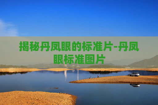 揭秘丹凤眼的标准片-丹凤眼标准图片