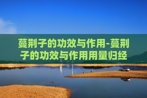蔓荆子的功效与作用-蔓荆子的功效与作用用量归经
