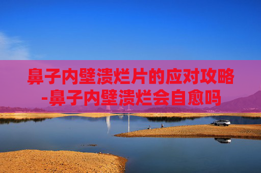鼻子内壁溃烂片的应对攻略-鼻子内壁溃烂会自愈吗
