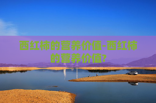西红柿的营养价值-西红柿的营养价值?