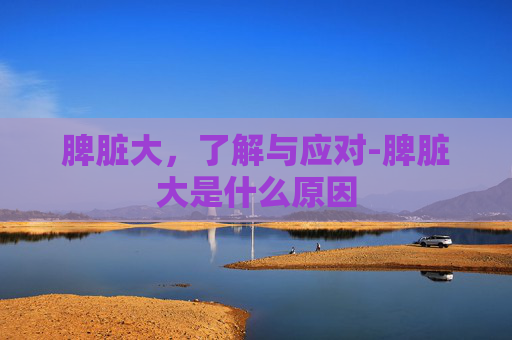 脾脏大，了解与应对-脾脏大是什么原因