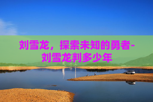 刘雪龙，探索未知的勇者-刘雪龙判多少年