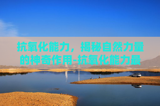 抗氧化能力，揭秘自然力量的神奇作用-抗氧化能力最强的蔬菜