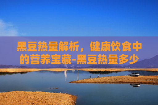 黑豆热量解析，健康饮食中的营养宝藏-黑豆热量多少大卡