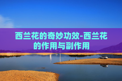西兰花的奇妙功效-西兰花的作用与副作用