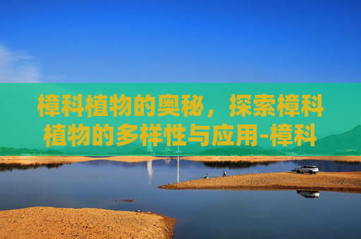 樟科植物的奥秘，探索樟科植物的多样性与应用-樟科植物特征