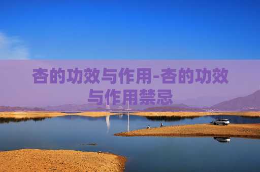 杏的功效与作用-杏的功效与作用禁忌