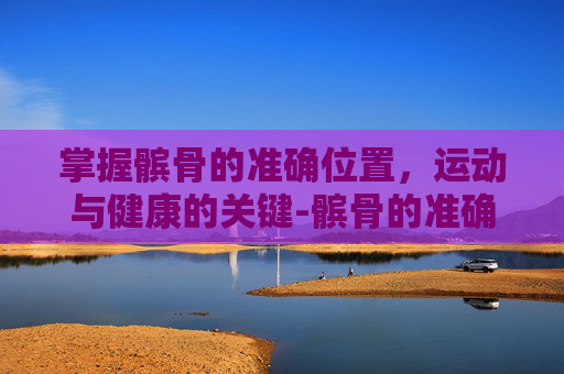 掌握髌骨的准确位置，运动与健康的关键-髌骨的准确位置图片
