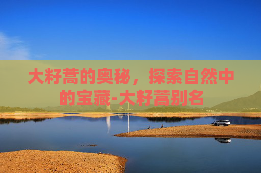 大籽蒿的奥秘，探索自然中的宝藏-大籽蒿别名