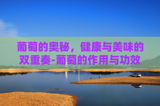 葡萄的奥秘，健康与美味的双重奏-葡萄的作用与功效及禁忌