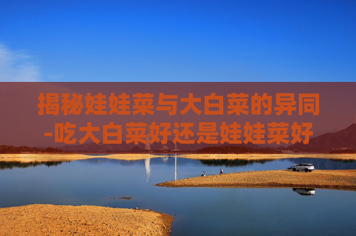 揭秘娃娃菜与大白菜的异同-吃大白菜好还是娃娃菜好