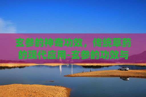 玄参的神奇功效，传统草药的现代应用-玄参的功效与作用