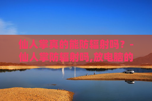 仙人掌真的能防辐射吗？-仙人掌防辐射吗,放电脑的什么位置好