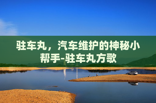 驻车丸，汽车维护的神秘小帮手-驻车丸方歌