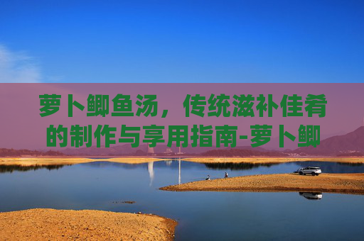 萝卜鲫鱼汤，传统滋补佳肴的制作与享用指南-萝卜鲫鱼汤功效与作用