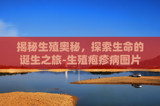 揭秘生殖奥秘,探索生命的诞生之旅-生殖疱疹病图片 揭秘生殖奥秘,探索生命的诞生之旅-生殖疱疹病图片