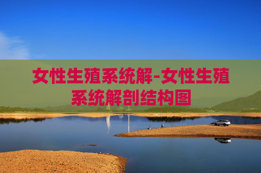 女性生殖系统解-女性生殖系统解剖结构图 女性生殖系统解-女性生殖系统解剖结构图