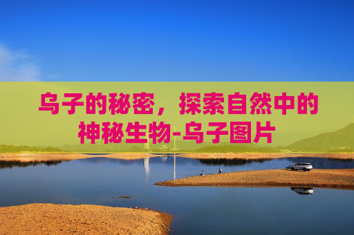 乌子的秘密,探索自然中的神秘生物-乌子图片 乌子的秘密,探索自然中的神秘生物-乌子图片