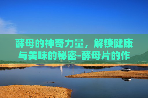 酵母的神奇力量,解锁健康与美味的秘密-酵母片的作用与功效 酵母的神奇力量,解锁健康与美味的秘密-酵母片的作用与功效