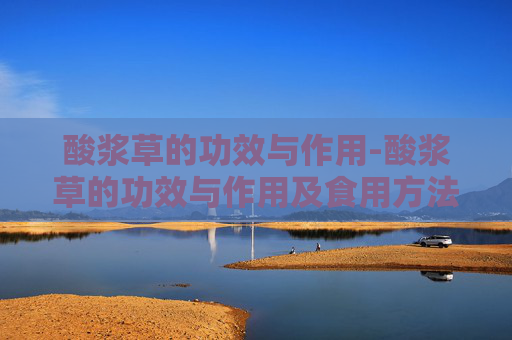 酸浆草的功效与作用-酸浆草的功效与作用及食用方法 酸浆草的功效与作用-酸浆草的功效与作用及食用方法