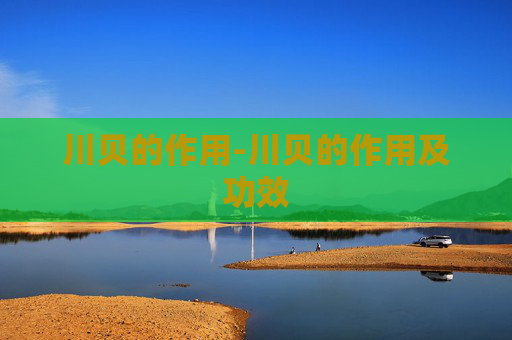 川贝的作用-川贝的作用及功效