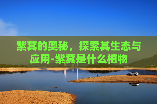 紫萁的奥秘，探索其生态与应用-紫萁是什么植物
