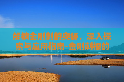 解锁金刚刺的奥秘,深入探索与应用指南-金刚刺根的价格 解锁金刚刺的奥秘,深入探索与应用指南-金刚刺根的价格