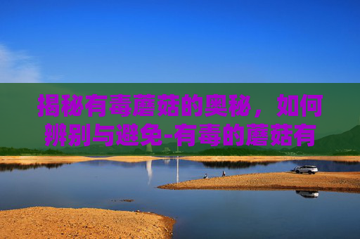 揭秘有毒蘑菇的奥秘，如何辨别与避免-有毒的蘑菇有哪些