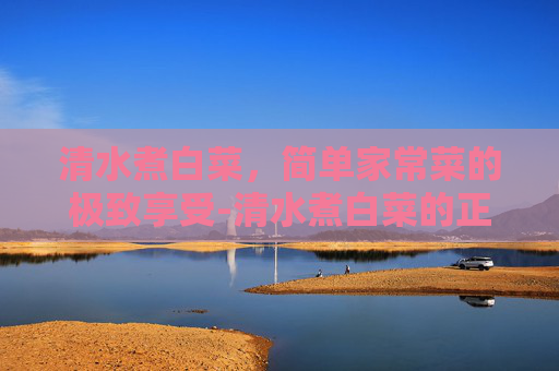 清水煮白菜,简单家常菜的极致享受-清水煮白菜的正确方法 清水煮白菜,简单家常菜的极致享受-清水煮白菜的正确方法