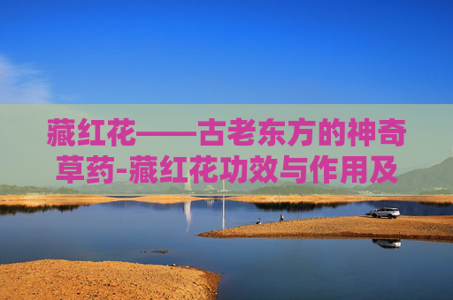 藏红花——古老东方的神奇草药-藏红花功效与作用及食用方法 藏红花——古老东方的神奇草药-藏红花功效与作用及食用方法