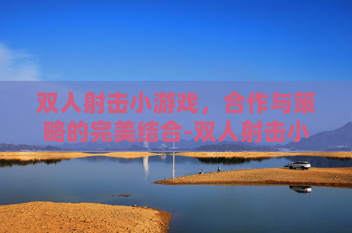 双人射击小游戏，合作与策略的完美结合-双人射击小游戏电脑版